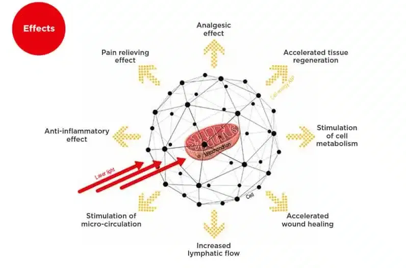 Diagram of photobiomodulation at the cellular level: laser light reaching a mitochondrion inside a cell, with arrows out to the analgesic, pain relieving, anti-inflammatory, micro-circulation, lymphatic flow, cell metabolism, tissue regeneration and wound healing effects
