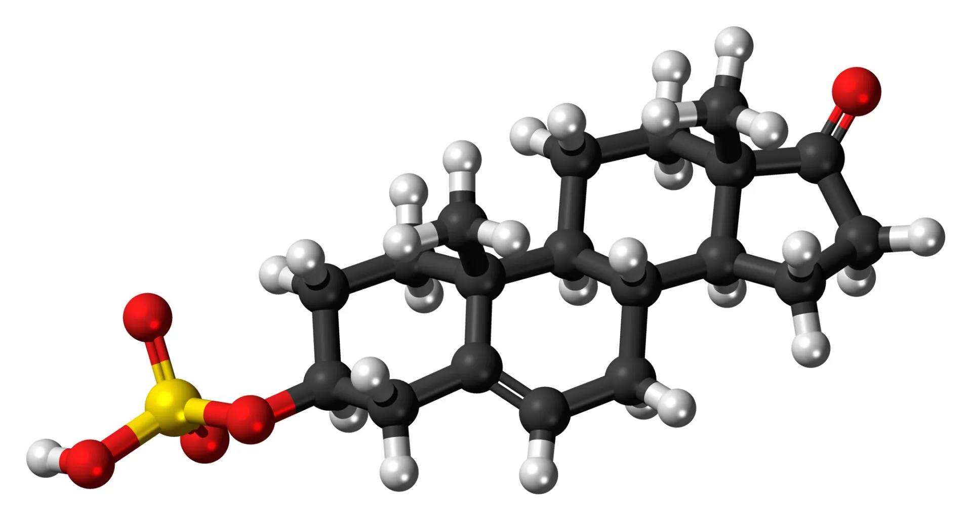 Ball-and-stick molecular model of a steroid hormone, with carbon, hydrogen and oxygen atoms shown as colored spheres joined by bonds